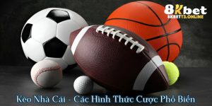 Kèo Nhà Cái | Dữ Liệu Nền Tảng Người Chơi Cần Biết